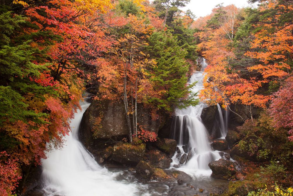 Nikko on sale national park